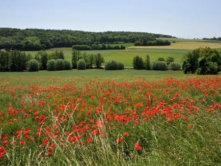 Plaine vers Serbonne Plaine vers Serbonne